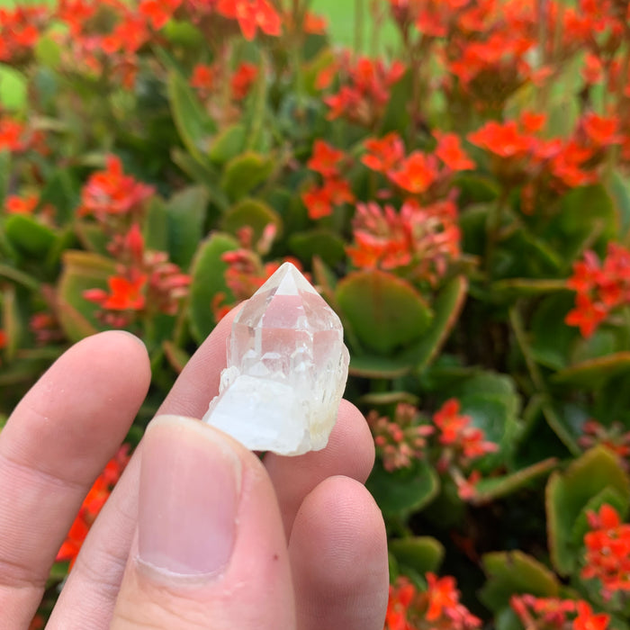 10g 3x2x2cm White Pineapple Quartz from Madagascar