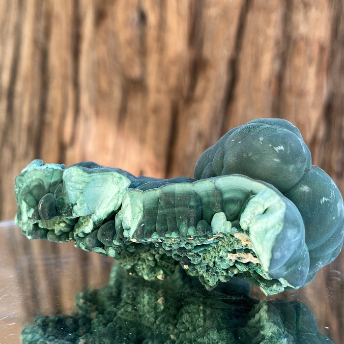 206g 9x6x5cm Green Shiny Malachite from Laos - Locco Decor