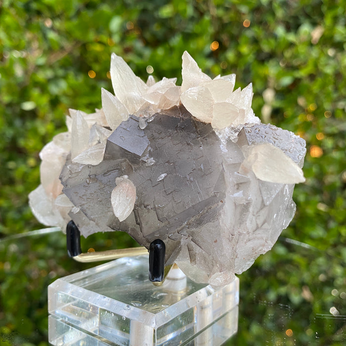 282g 11x7x5cm White Calcite with Grey Fluorite from Balochistan, Pakistan