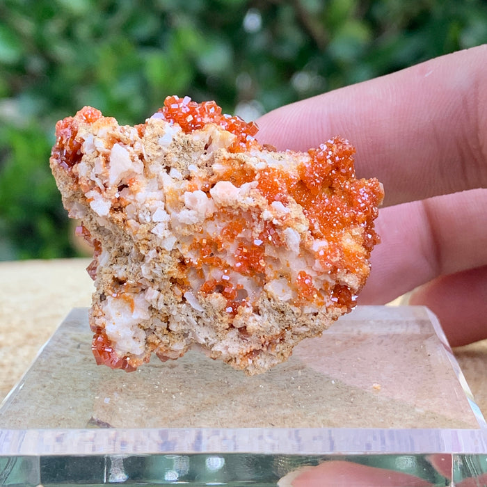 44.6g 5x4x3cm Shiny Red Vanadinite from Morocco
