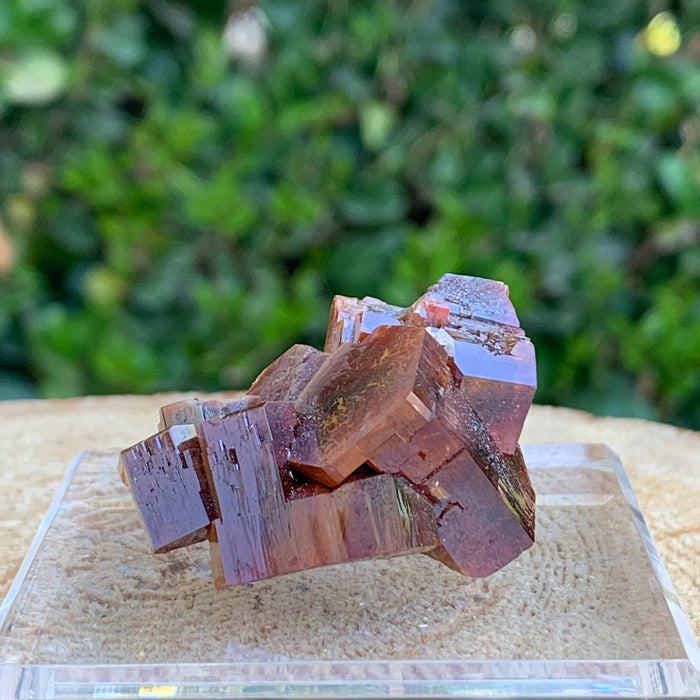 61.2g 4x2.5x2cm Red Vanadinite Nugget from Morocco