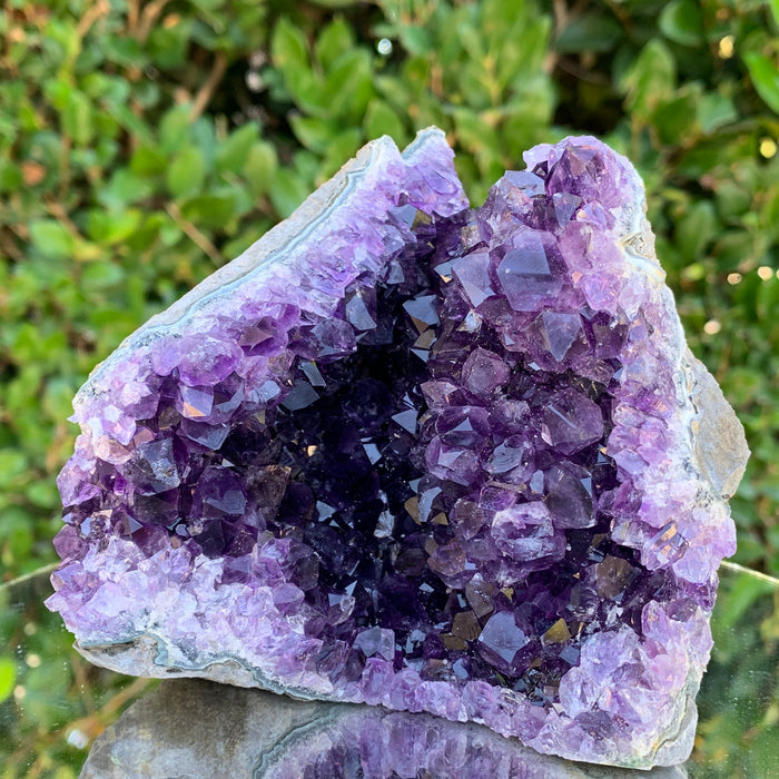 806g 11x11x9cm Purple Amethyst Cluster from Uruguay