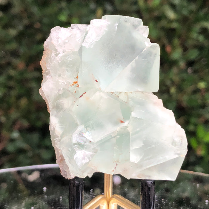 88g 7x5x3cm Green Fluorite Translucent from China