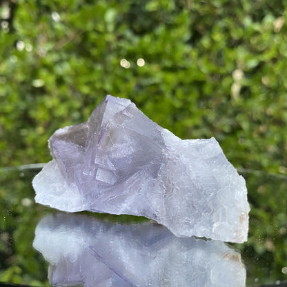 102g 8x5x3cm Bicolor White and Purple Fluorite from Balochistan, Pakistan - Locco Decor