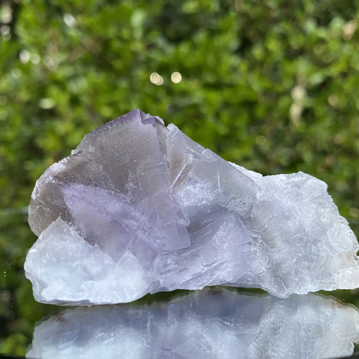 102g 8x5x3cm Bicolor White and Purple Fluorite from Balochistan, Pakistan - Locco Decor