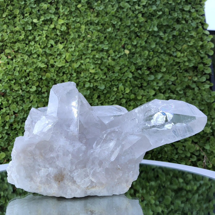 1.051kg 12x10x13cm Turtle Clear Clear Quartz from Brazil - Locco Decor