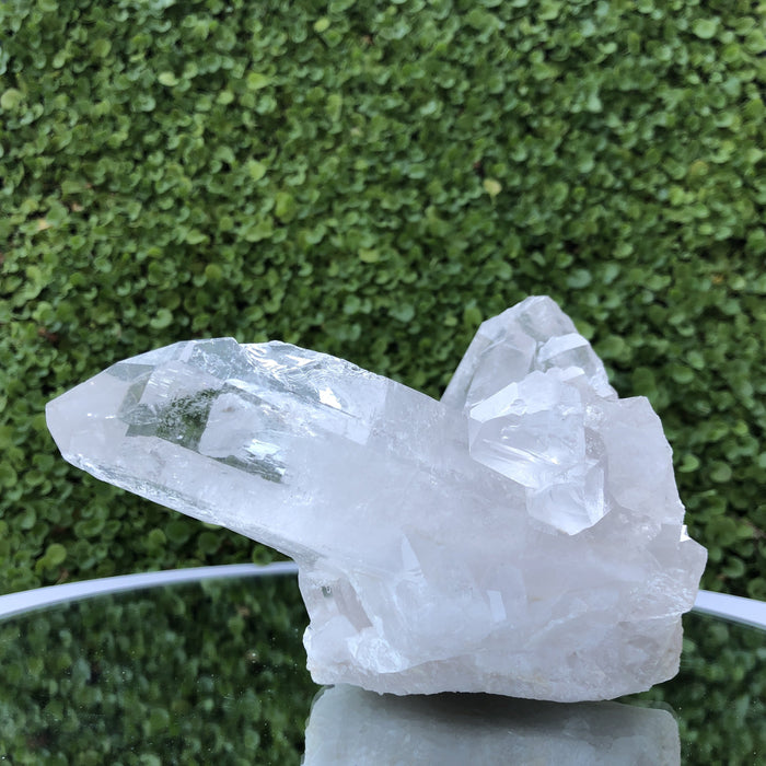 1.051kg 12x10x13cm Turtle Clear Clear Quartz from Brazil - Locco Decor