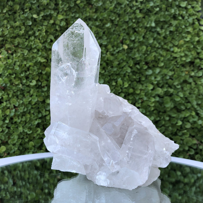 1.051kg 12x10x13cm Turtle Clear Clear Quartz from Brazil - Locco Decor