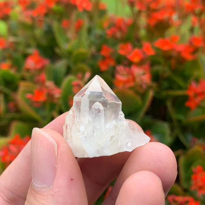 10g 3x2x2cm White Pineapple Quartz from Madagascar