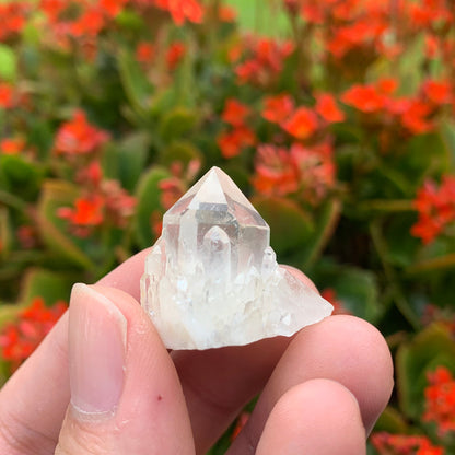 10g 3x2x2cm White Pineapple Quartz from Madagascar