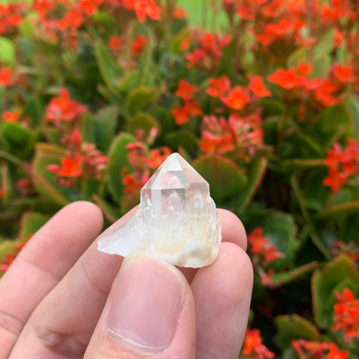10g 3x2x2cm White Pineapple Quartz from Madagascar