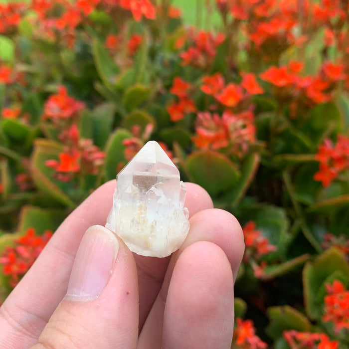 10g 3x2x2cm White Pineapple Quartz from Madagascar
