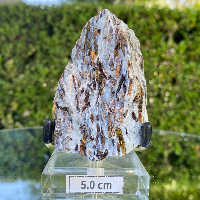 128.0g 8x5x3cm Gold Astrophyllite from Russia