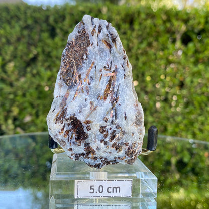128.0g 8x5x3cm Gold Astrophyllite from Russia