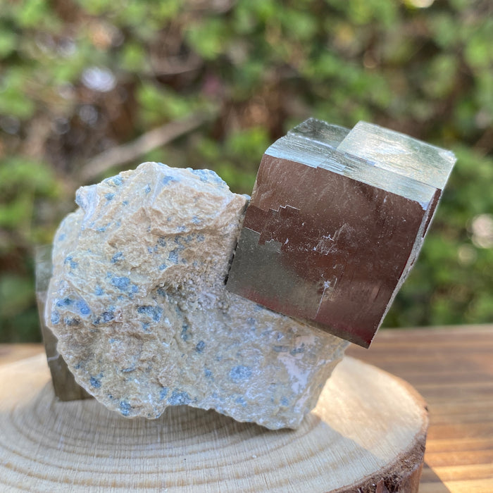 140.0g 8x5x4cm Gold Spanish Pyrite Matrix from Spain