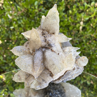 1.42kg 14x13x12cm Spiky White Calcite Grey Fluorite from Balochistan, Pakistan - Locco Decor