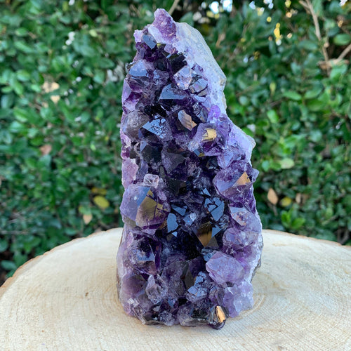 1.42kg 16x8x8cm Purple Amethyst Cluster Cutbase Grade Extra from Uruguay