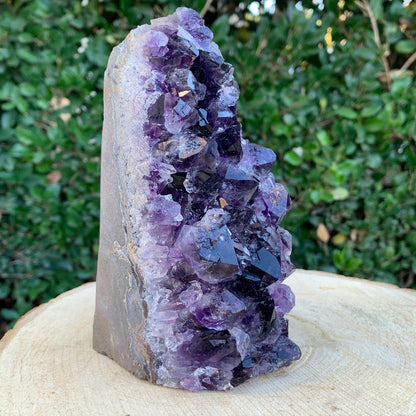 1.42kg 16x8x8cm Purple Amethyst Cluster Cutbase Grade Extra from Uruguay