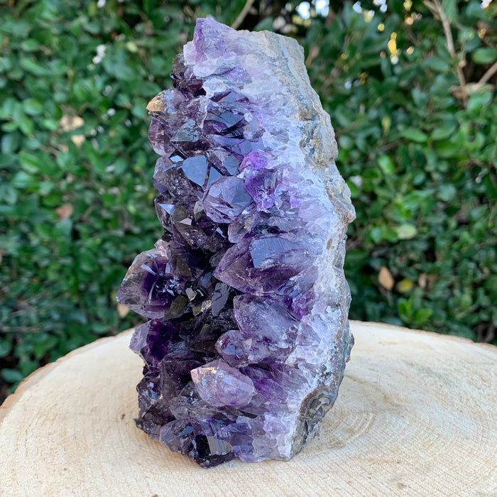 1.42kg 16x8x8cm Purple Amethyst Cluster Cutbase Grade Extra from Uruguay