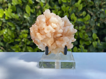 144g 7x7x6cm Orange Stalatite Stalagmite Calcite from United States - Locco Decor
