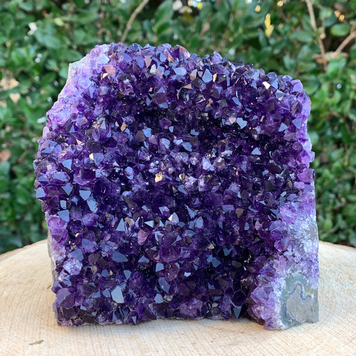 1.53kg 12x12x8cm Purple Amethyst Cluster Cutbase Grade Extra from Uruguay