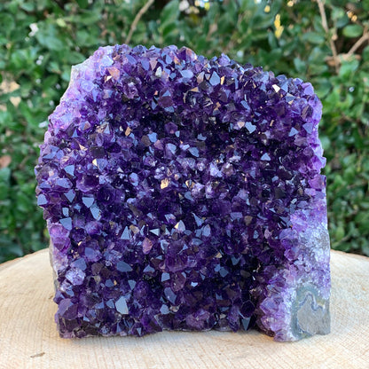 1.53kg 12x12x8cm Purple Amethyst Cluster Cutbase Grade Extra from Uruguay