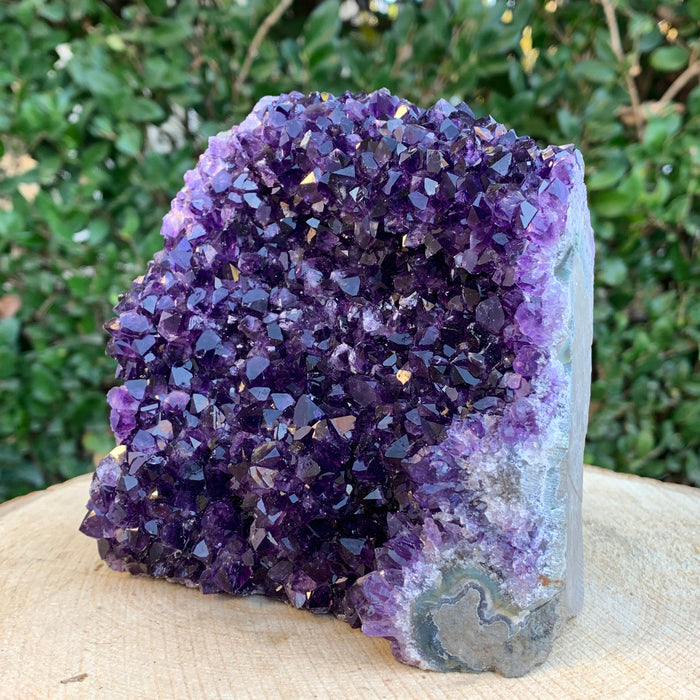 1.53kg 12x12x8cm Purple Amethyst Cluster Cutbase Grade Extra from Uruguay