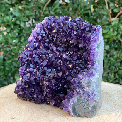 1.53kg 12x12x8cm Purple Amethyst Cluster Cutbase Grade Extra from Uruguay