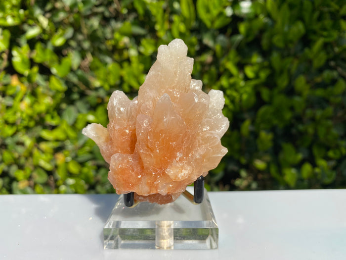 154g 8x7x5cm Orange Stalatite Stalagmite Calcite from United States