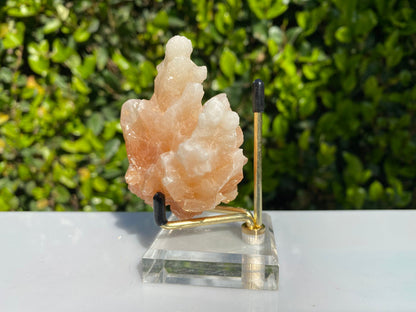 154g 8x7x5cm Orange Stalatite Stalagmite Calcite from United States