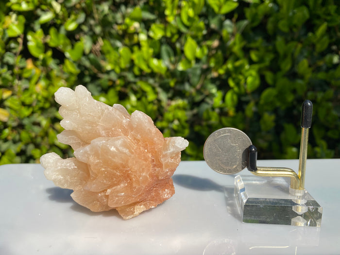 154g 8x7x5cm Orange Stalatite Stalagmite Calcite from United States