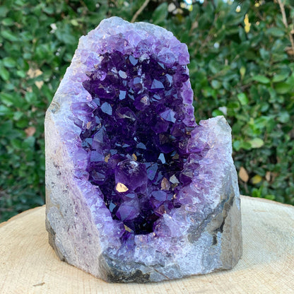 1.57kg 14x10x10cm Purple Amethyst Cluster Cutbase Grade Extra from Uruguay