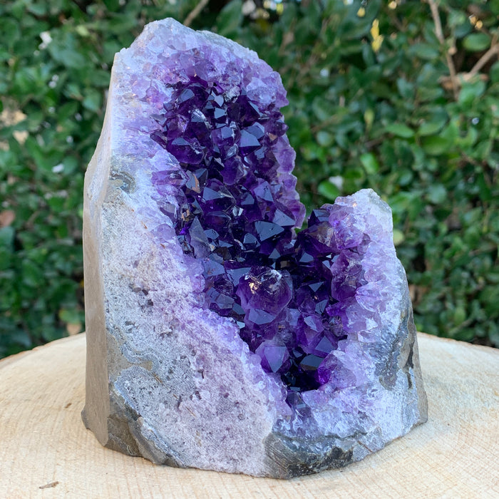 1.57kg 14x10x10cm Purple Amethyst Cluster Cutbase Grade Extra from Uruguay