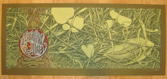 2009 Andrew Bird - LA Silkscreen Concert Poster by Aaron Horkey