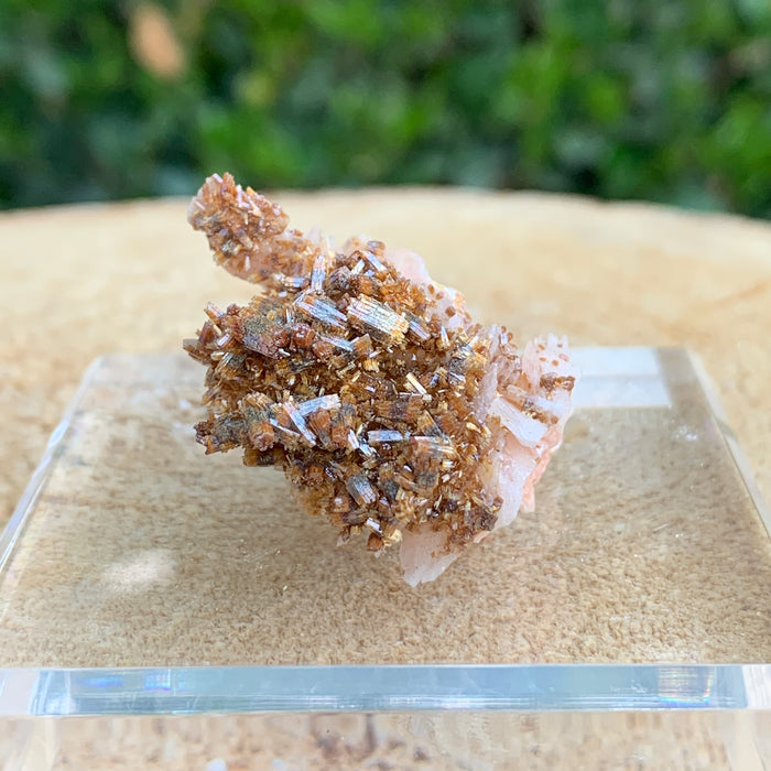20.8g 3x3x2.5cm Red Vanadinite from Morocco