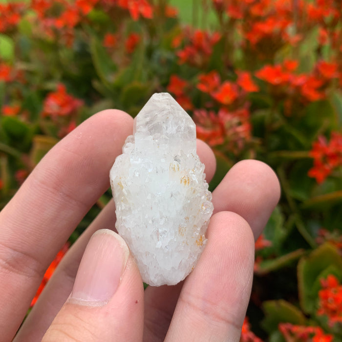 20g 5x2x2cm White Pineapple Quartz from Madagascar