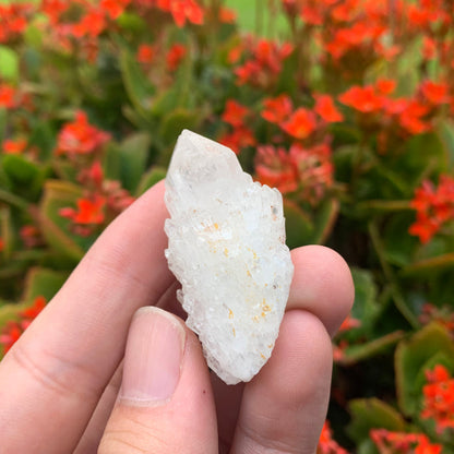 20g 5x2x2cm White Pineapple Quartz from Madagascar