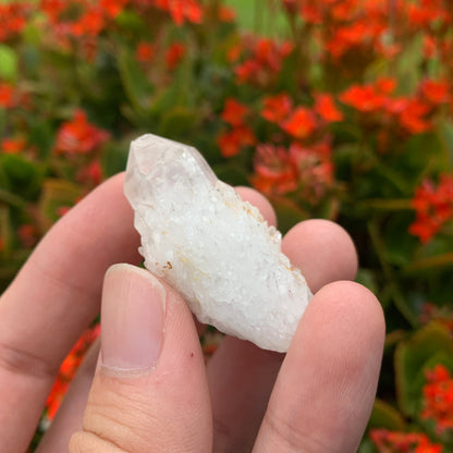 20g 5x2x2cm White Pineapple Quartz from Madagascar