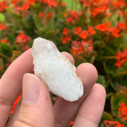 20g 5x2x2cm White Pineapple Quartz from Madagascar