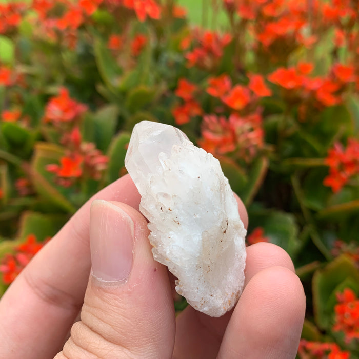 20g 5x2x2cm White Pineapple Quartz from Madagascar