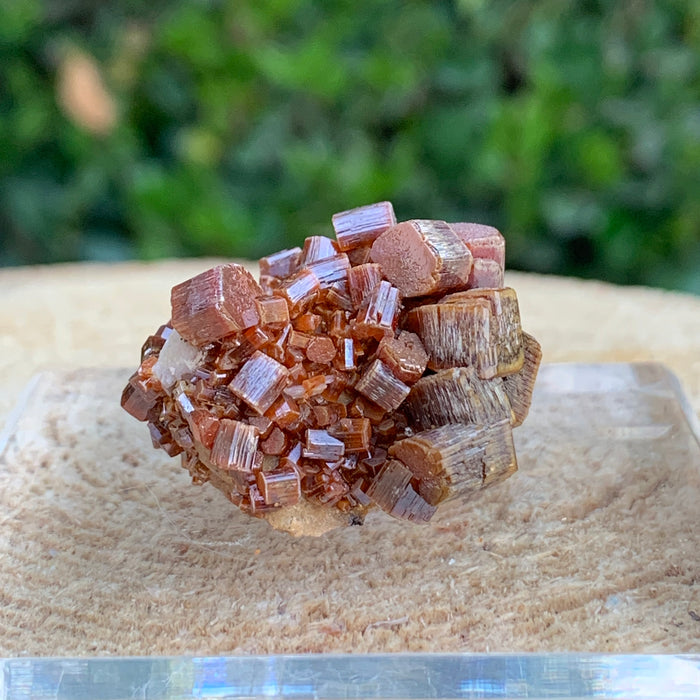 22.4g 3x3x2cm Red Vanadinite from Morocco