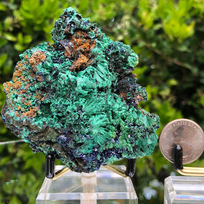 240g 8.5x7.3x4.5cm Shiny Blue Azurite w/ green Malachite from Sepon Mine, Laos
