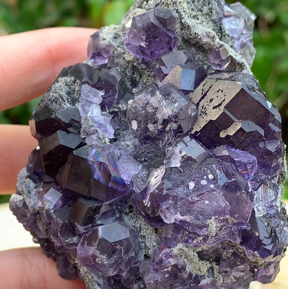 242g 9x7x4cm Purple Tanzanite Fluorite from China