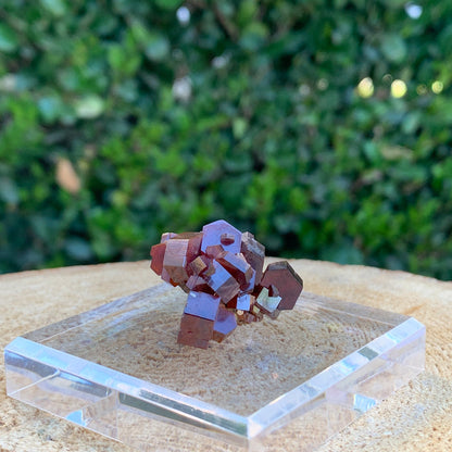 25g 3x3x2cm Red Vanadinite Nugget from Morocco