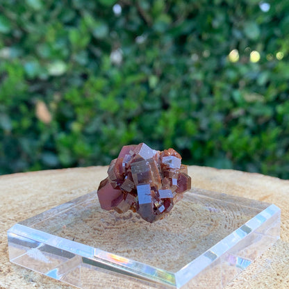 25g 3x3x2cm Red Vanadinite Nugget from Morocco