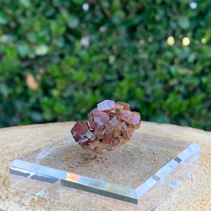 25g 3x3x2cm Red Vanadinite Nugget from Morocco