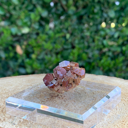 25g 3x3x2cm Red Vanadinite Nugget from Morocco