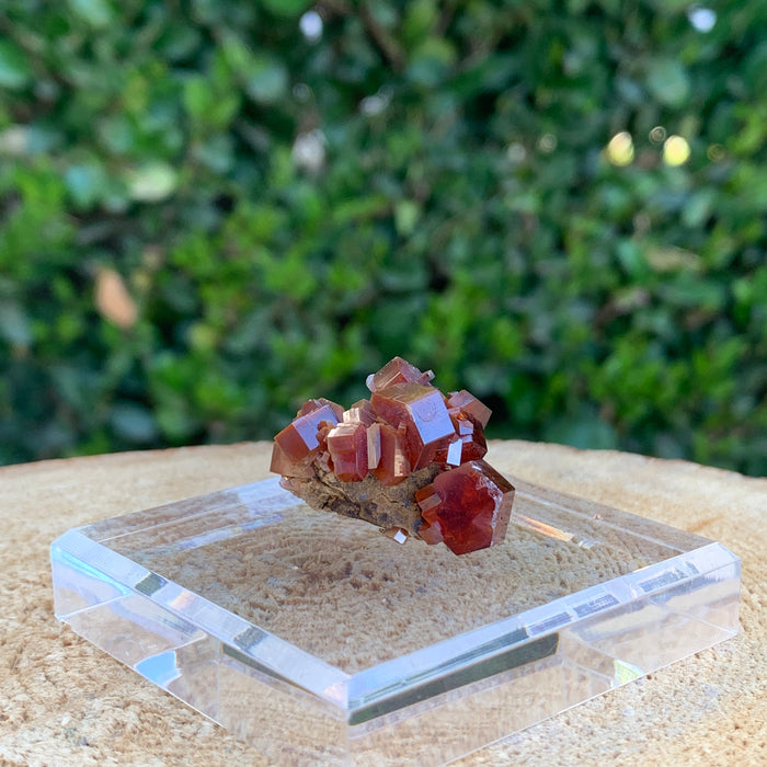 25g 3x3x2cm Red Vanadinite Nugget from Morocco