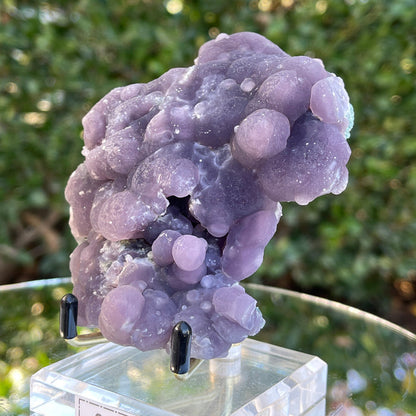 263g 7x5.5x4cm Purple Grape Agate Chalcedony from Indonesia