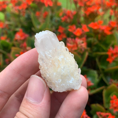 26g 4x3x2cm White Pineapple Quartz from Madagascar